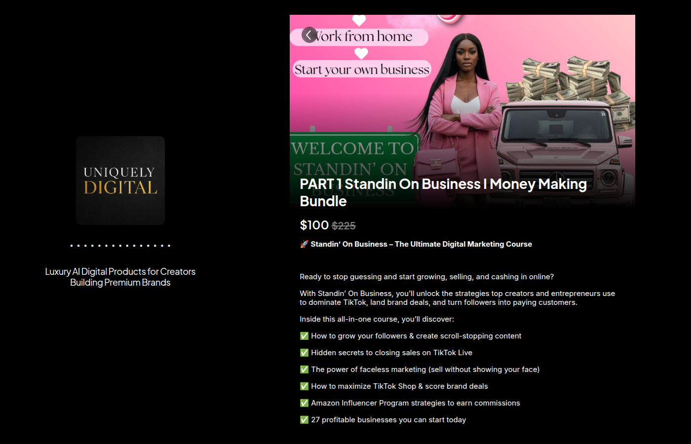 Is Standin on Business a scam — Standin on Business sales page showing Money Making Bundle digital product